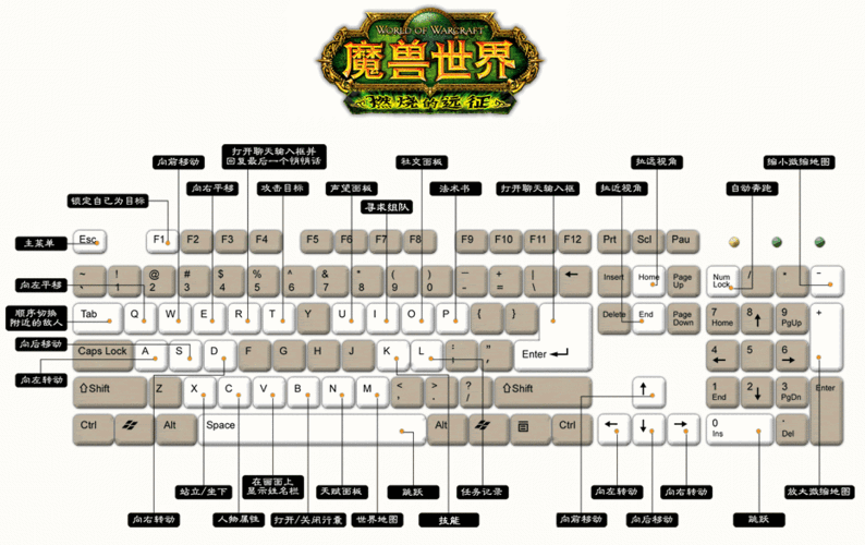 魔兽世界默认按键设置全解析