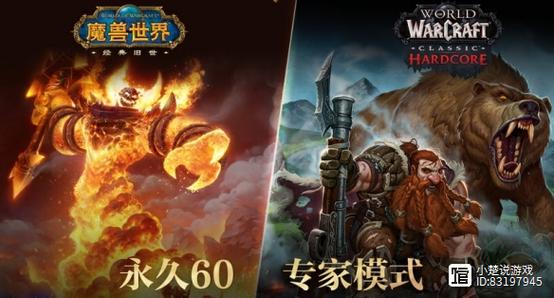 《魔兽世界：2004年开启的传奇之旅》