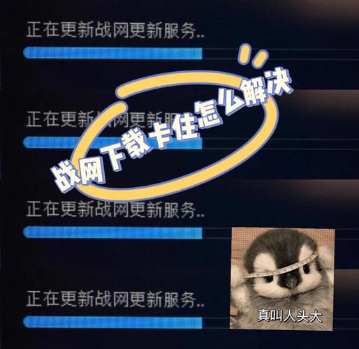 战网下载受阻?多法排查解困境