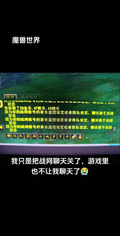 魔兽世界任务发聊天方法及注意事项详解